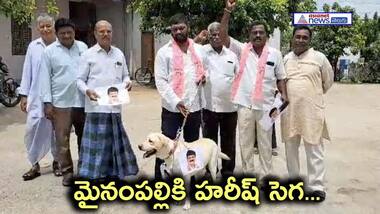 వీధికుక్క మెడలో మైనంపల్లి పోటోవేసి... బిఆర్ఎస్ శ్రేణుల వినూత్న నిరసన..