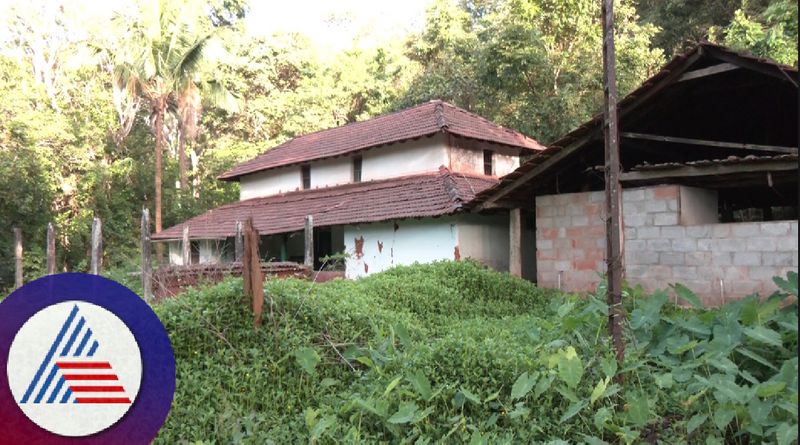 Yellow disease of groundnut crop farmers in distress in malenadu at chikkamagaluru rav