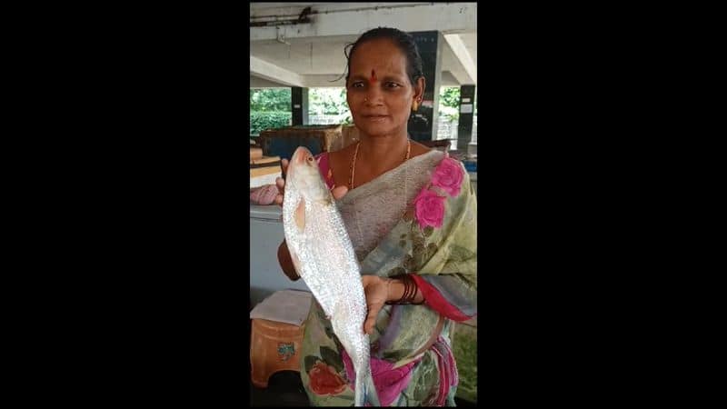 2 kg worth rare pulasa fish sold rupees 16 thousand in puducherry