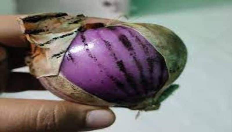 Is black mold on onions dangerous to your health in tamil mks