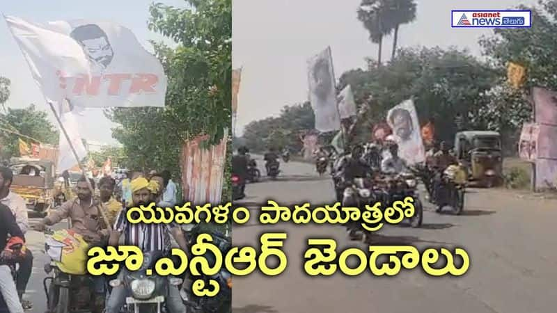 Youngsters bike rally with Junior NTR Flags in Lokesh Padayatra Nuzividu AKP VJA