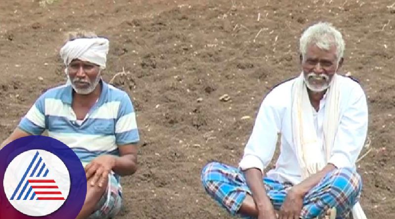 Lack of rain farmers demand that the district of chitradurga declared drought rav 