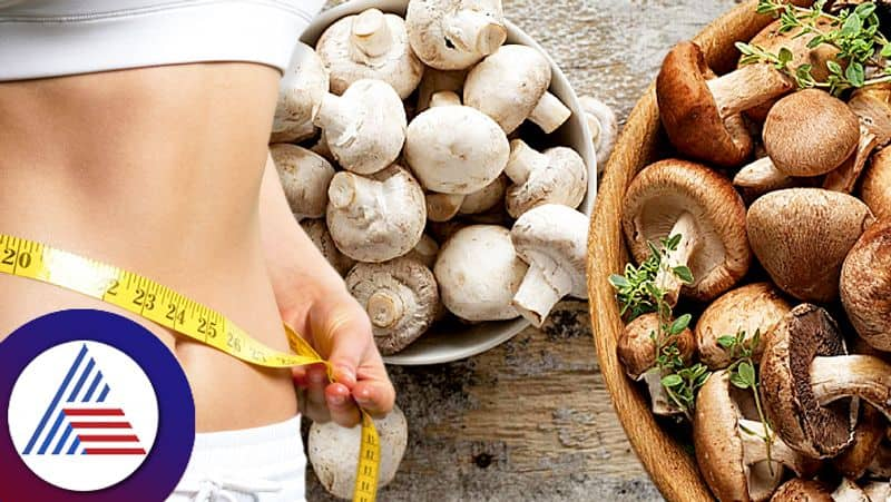 Weight Loss With Mushrooms Is This Vegetable Really Good For Shedding Extra Fat Expert Speaks roo