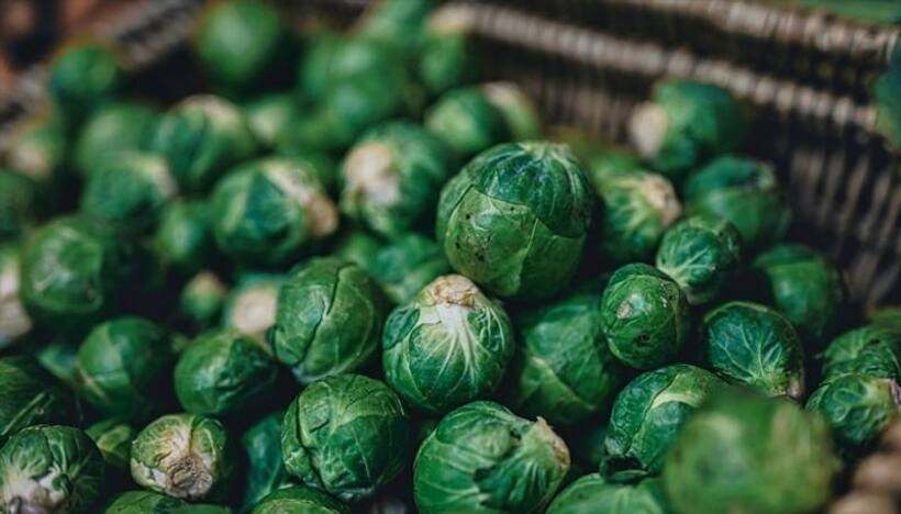 Skin friendly vegetables: 5 unexpected benefits of Brussels Sprouts