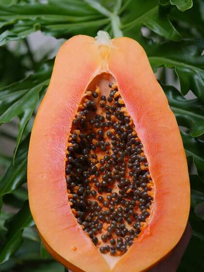 2. Boosts Digestive Health