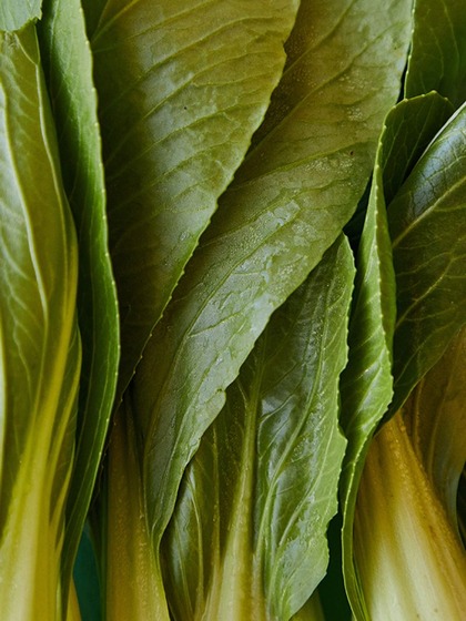 Nutrient gaps: 7 plant-based diet that can impact you
