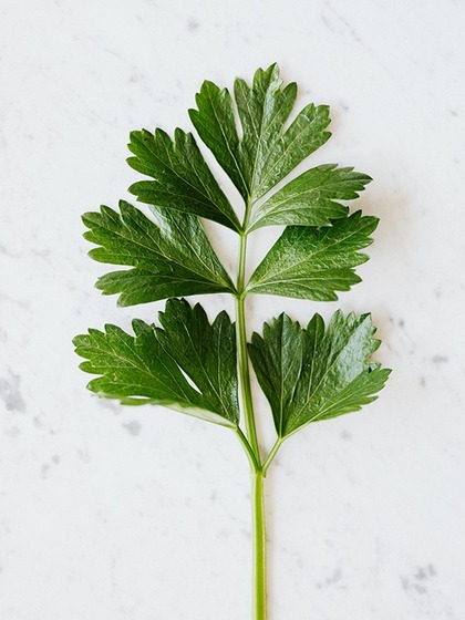 2. Digestive Issues