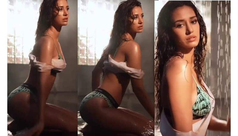 Disha Patani in bikini: Actress shows off her perfect body in THIS sexy video (WATCH) RBA