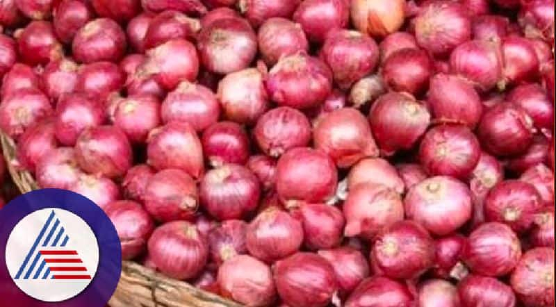 Onion price has increased in Chennai Koyambedu market KAK