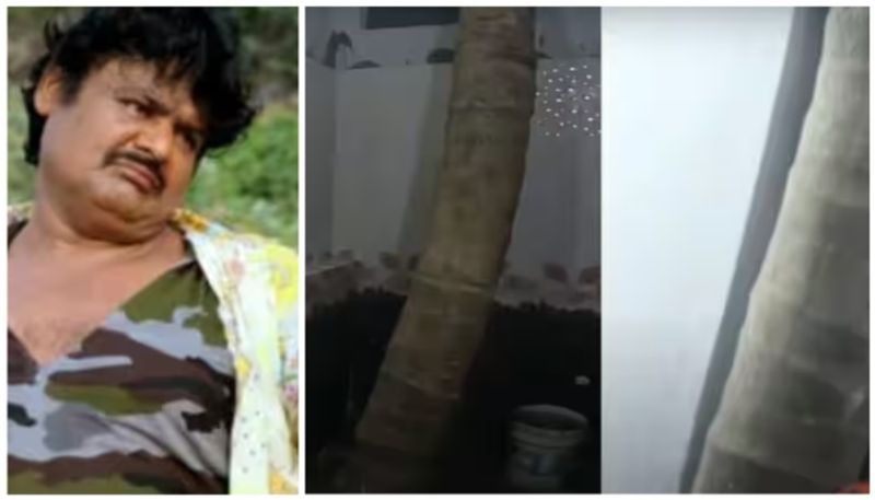 leo movie actor mansoor ali khan grow 6 coconut trees inside house one in bathroom vvk