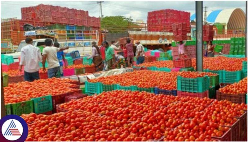 Tomato prices in Tamil Nadu have come down due to increase in yield KAK