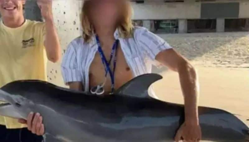 teenager catches dolphin for taking photos and it died hyp