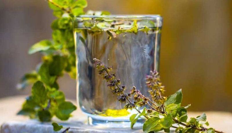 health benefits of drinking basil water  rsl