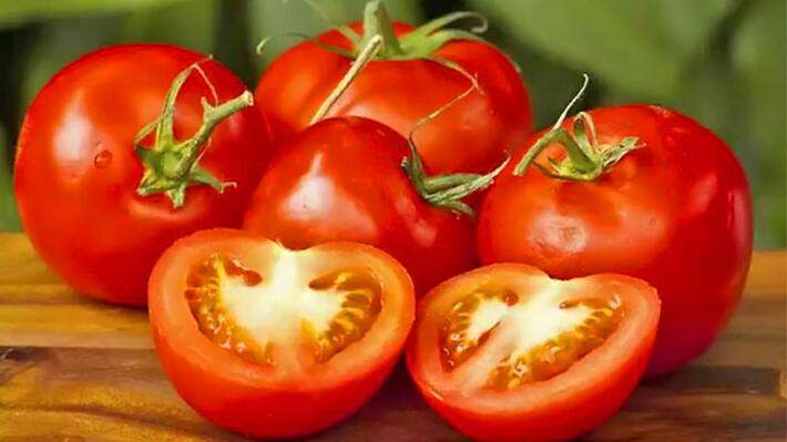Tomato Price today