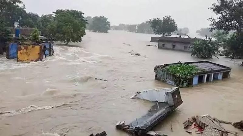 More than 130 wild animals, including at least six rare rhinos died in flooding at assam