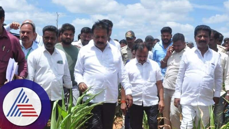 Agriculture minister chaluvarayaswamy visited chitradurga rav