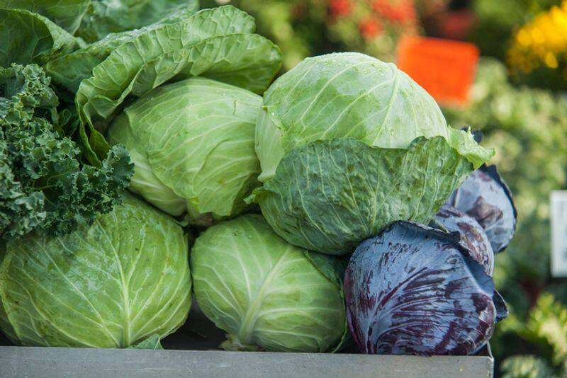 Explore the myriad health benefits of cabbage ADC EIA 