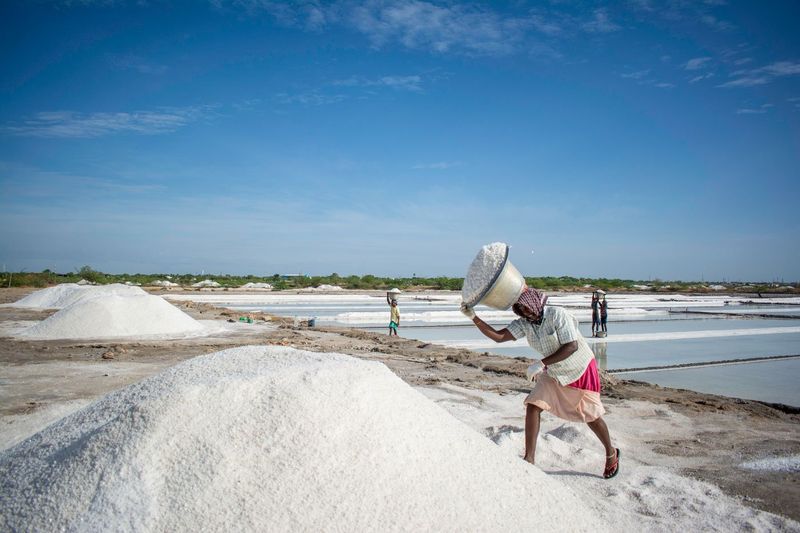 crystal salt production increased in 20 percentage comparing past few years in thoothukudi vel