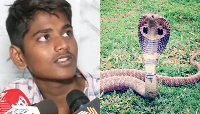 King Cobra snake Bite to kalaburagi Boy 9 times in two Months is sarpa dosha reason san