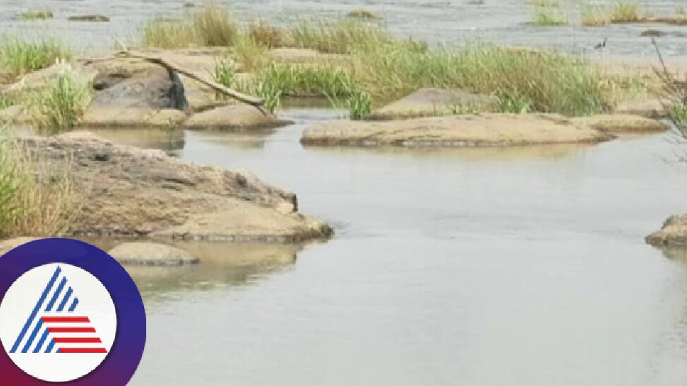 Cauvery river