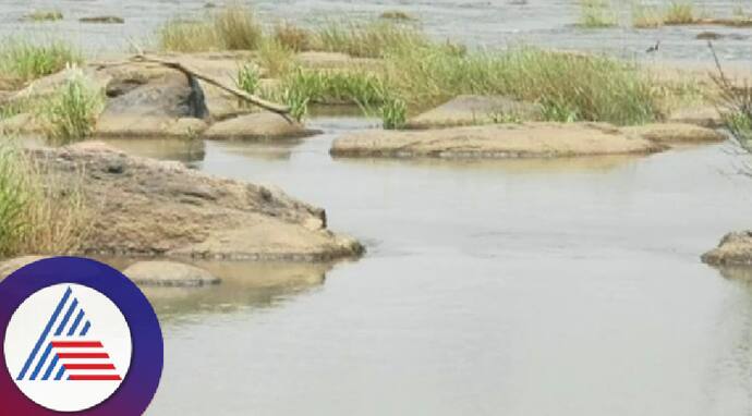 Cauvery river
