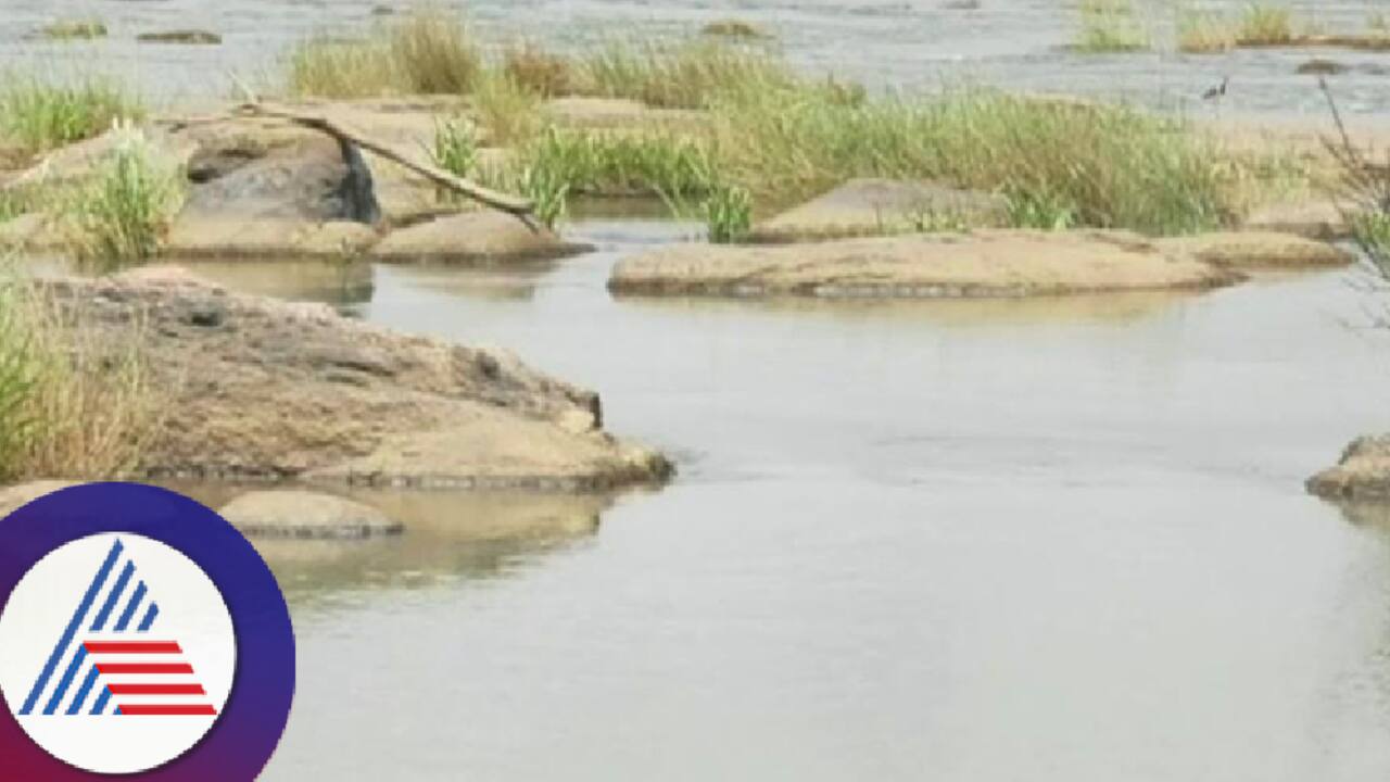 Cauvery river