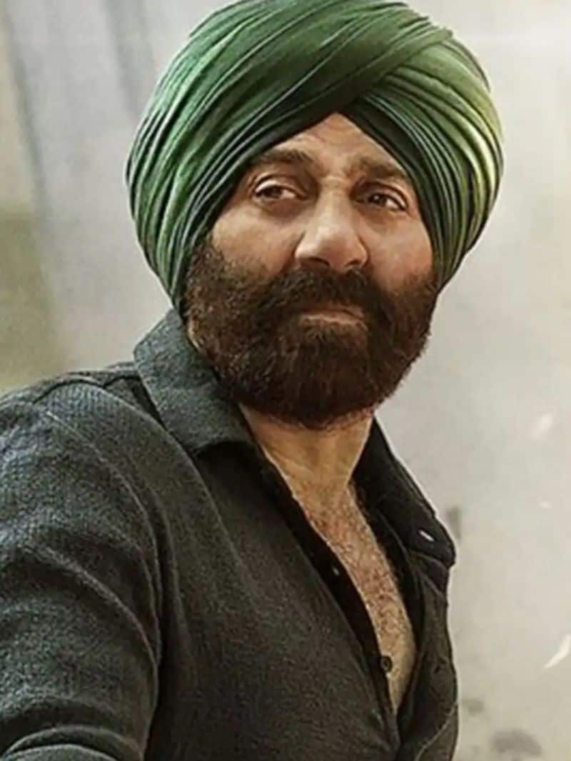 Sunny Deol Gadar 2 creates a new record in earnings leaving behind SRK Pathan rps