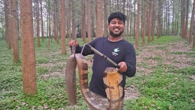 हाथ में कोबरा, कमरे में अंधेरा, 3000 से ज्यादा सांपों को रेस्क्यू करने वाले आदित्य  भी डर गए थे