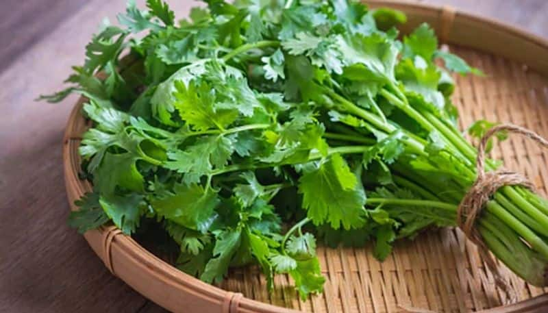 Mint Vs Coriander: Which one is healthier and know their nutrition facts  RBA EAI