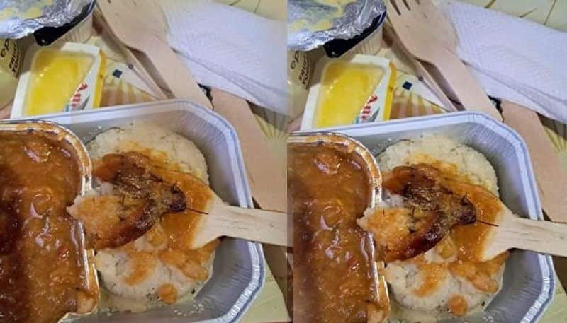 Bengaluru flyer finds cockroach on Air India meal Vin