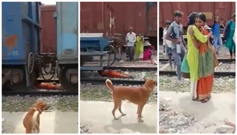 video of the woman lying between the running goods train has gone viral bkg 