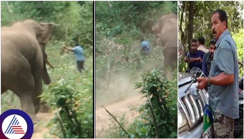 Hassan forest department Neglect Sharp Shooter Venkatesh died from elephant attack sat