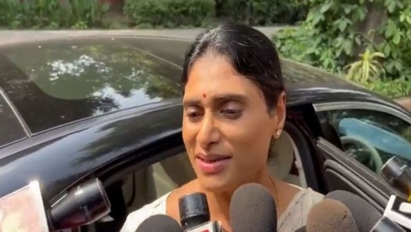   Y.S. Sharmila Responds on Y.S. Jgan Mohan Reddy Comments lns