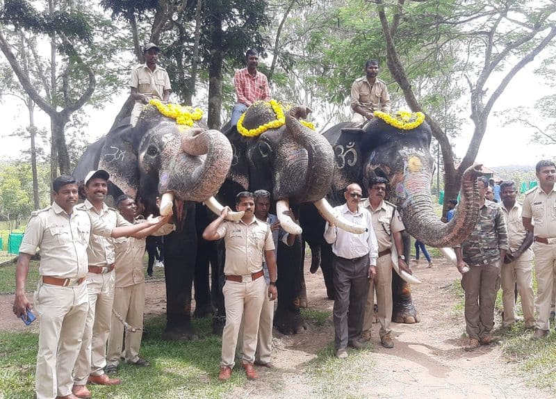 Elephants leaving Kodagu for Dasara in Mysuru gvd