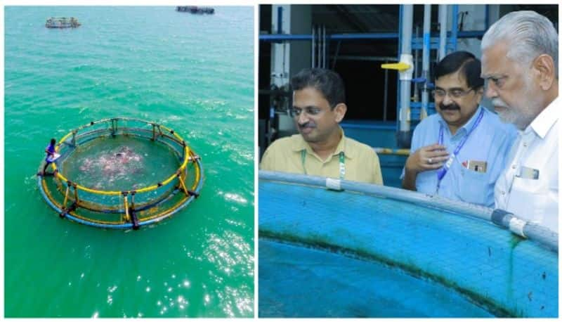 aquaculture projects should be extended into deep sea too says union minister for fisheries afe