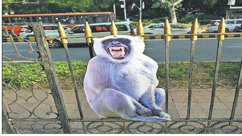 New Delhi municipal council take steps to control monkeys ahead of G20 meeting smp