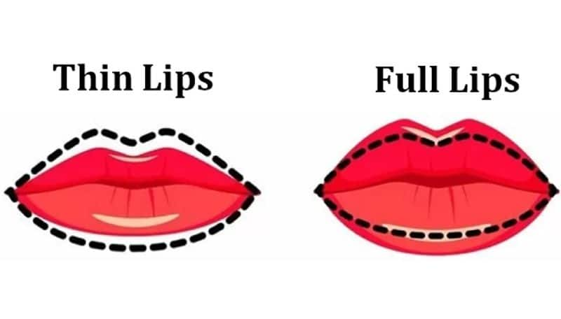 Lip Size