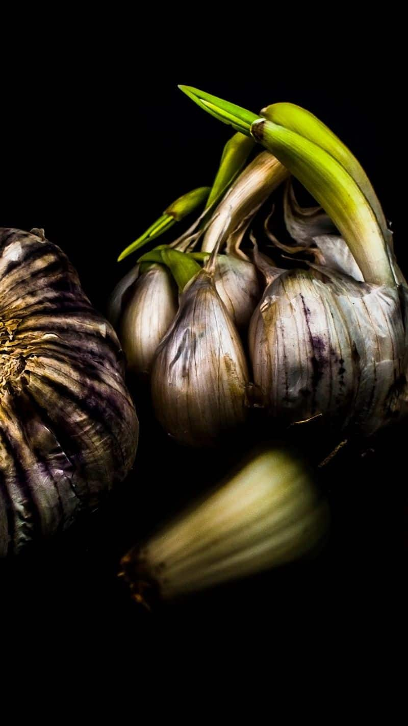 what is black garlic benefits of this know all the facts health news kxa 