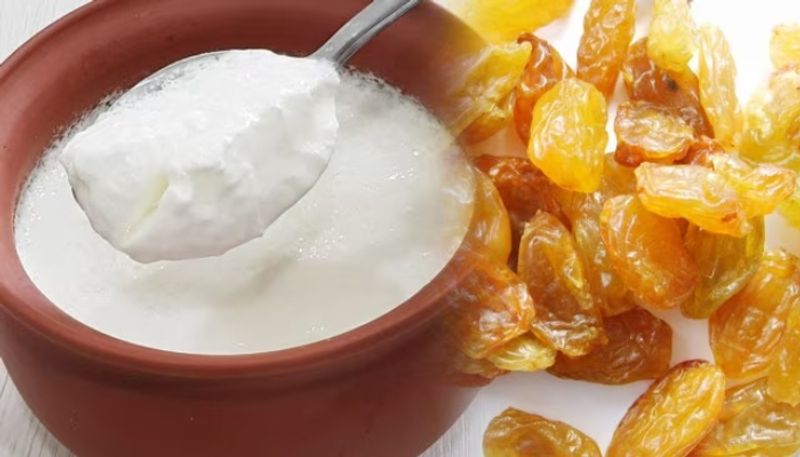 Benefits Of Consuming Curd With Raisins azn