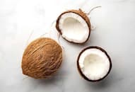 Why dried coconut is banned on planes: Airline safety rules and regulations explained NTI