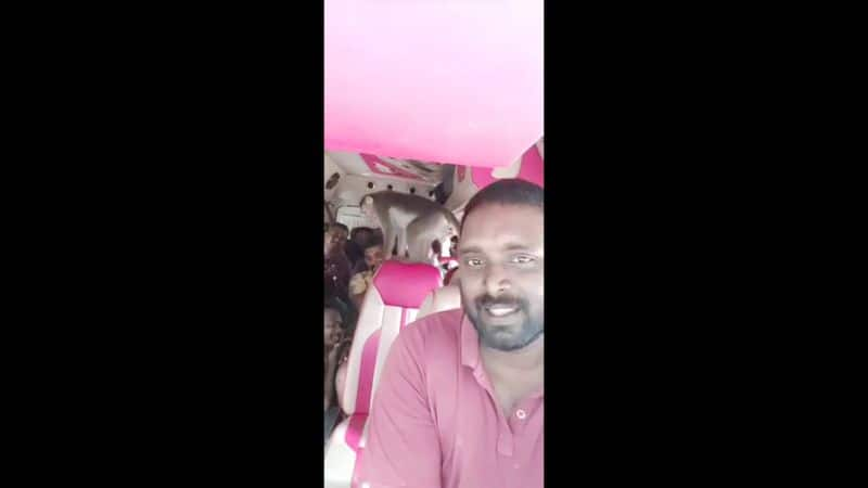 A video of a monkey entering the vehicle of a tourist in Kerala is going viral on the internet vel