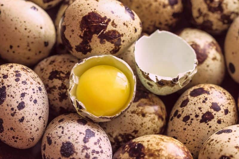 incredible health benefits of quail eggs-rse- 