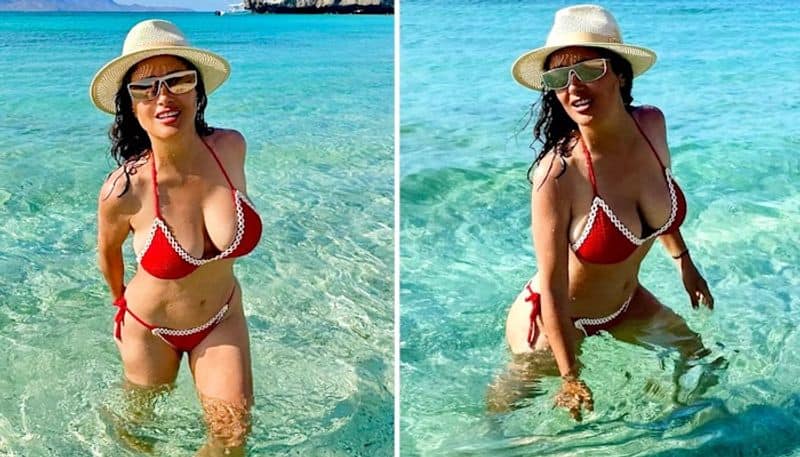 Salma Hayek SEXY photos: Actress celebrates her 57th birthday in HOT red bikini on the beach with seagulls  RBA