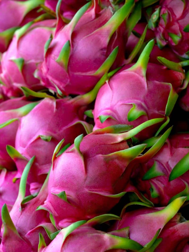 Health Benefits of Eating Dragon Fruit rsl