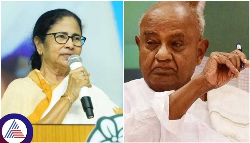 Kannadiga Former Prime Minister Devegowda thundered against Bengal CM Mamata Banerjee sat