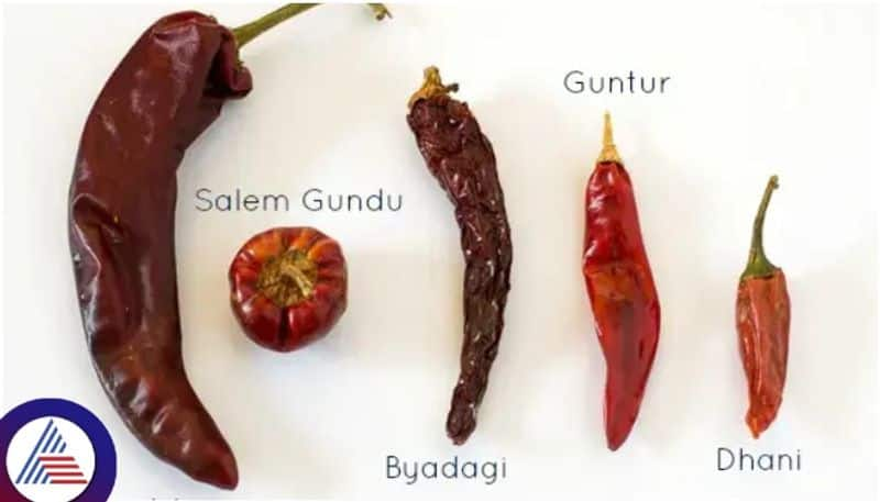 Types of Popular Indian red chillies Which is better for health sat