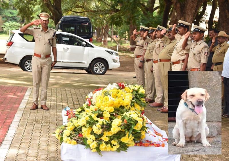 explosives detection dog soumya passed away in davanagere gvd