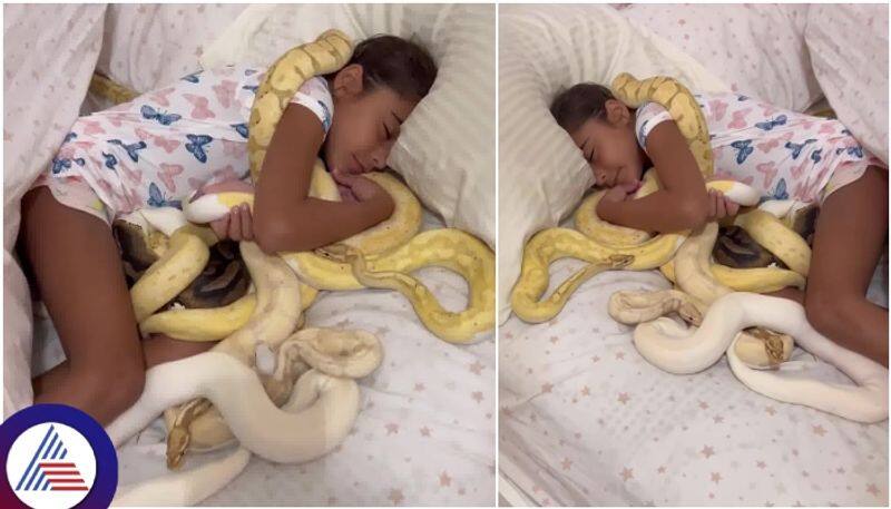 snake lover Ariana sleeping with live snakes like dolls Watch the viral video next scene sat