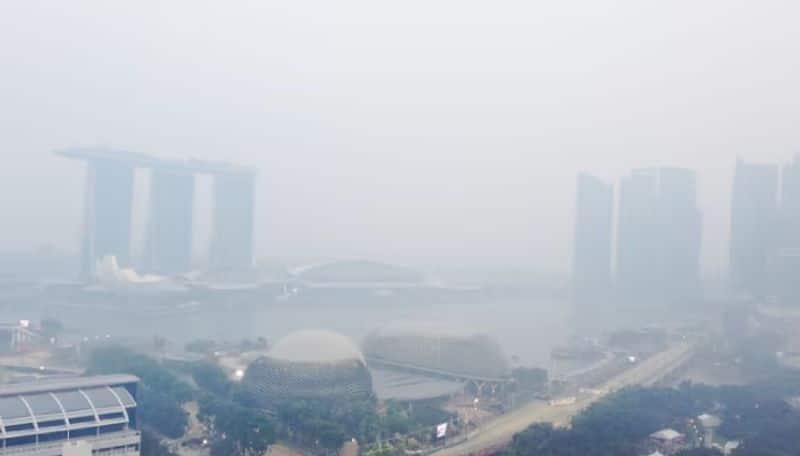 Attention Singaporeans! Chance of smog! Check the air quality before going outside dee