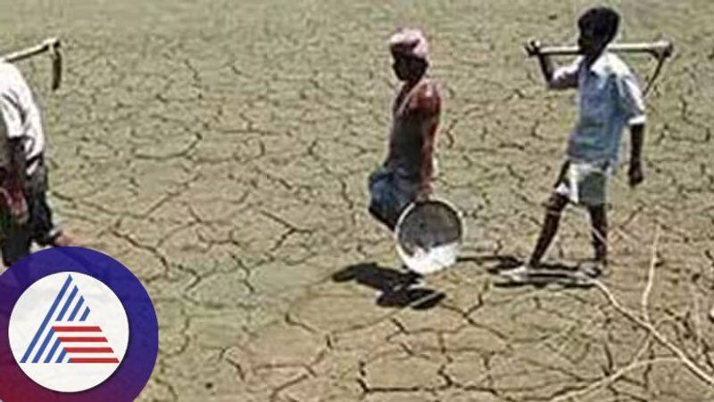 Drought survey